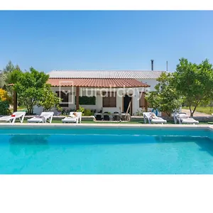 Сasa de vacaciones Dehesa Olive, Lucena